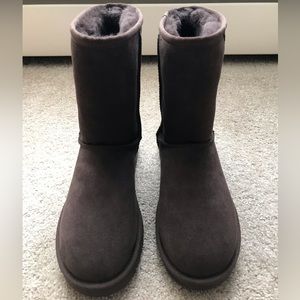 UGG Boots - Classic Short (Brown)